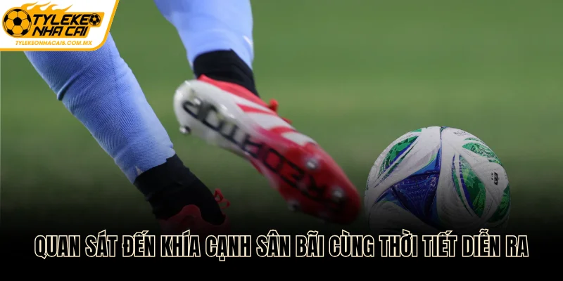 Quan sát đến khía cạnh sân bãi cùng thời tiết diễn ra