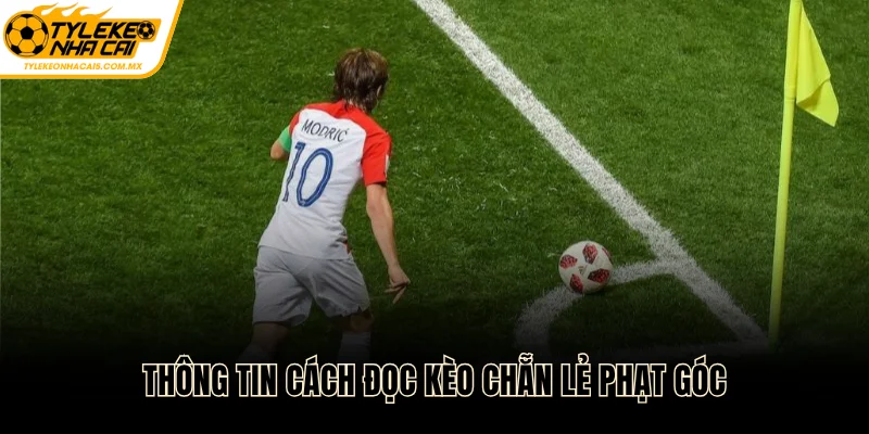 Thông tin cách đọc kèo Chẵn Lẻ phạt góc