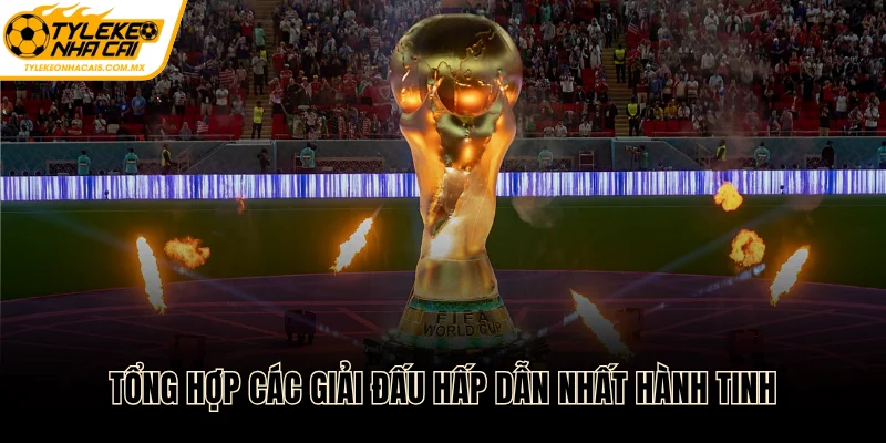 Lịch thi đấu cập nhật nhiều giải bóng nổi bật